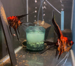 Orange Marble Angelfish Breeding pair #2527