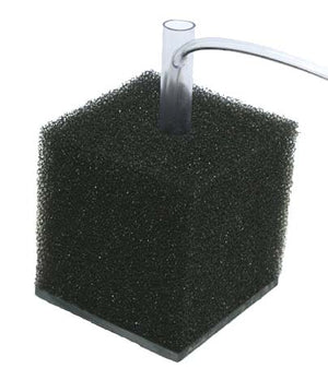 30ppi Slate Bottom Sponge Filter